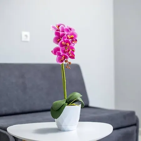 Pelagias * עיר רודוס