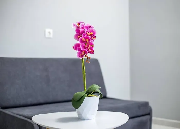 Pelagias * Rhodes City